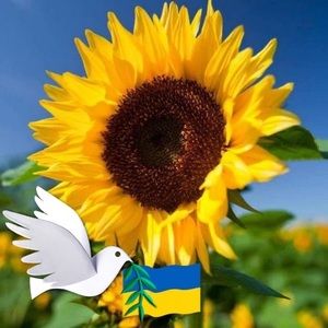 Meet your Posher, Renate